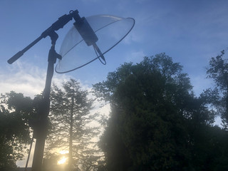 Alter Botanischer Garten